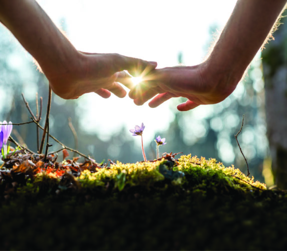 Two hands touch backlit by the sun above a pile of moss